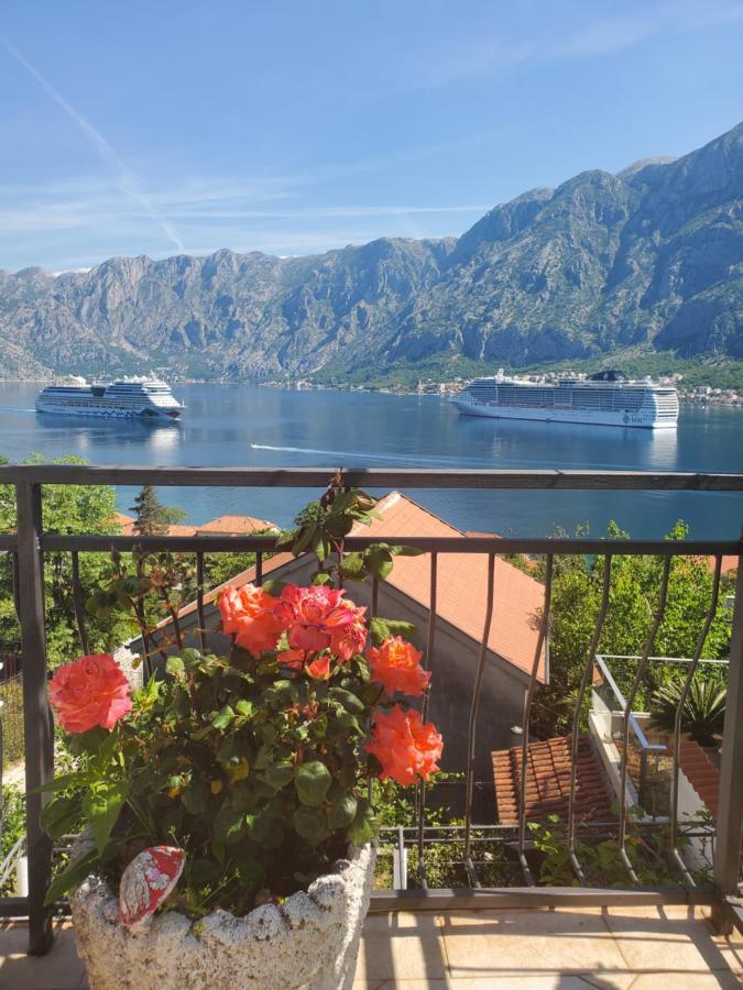 Vasko & Jana Apartment Kotor Ngoại thất bức ảnh