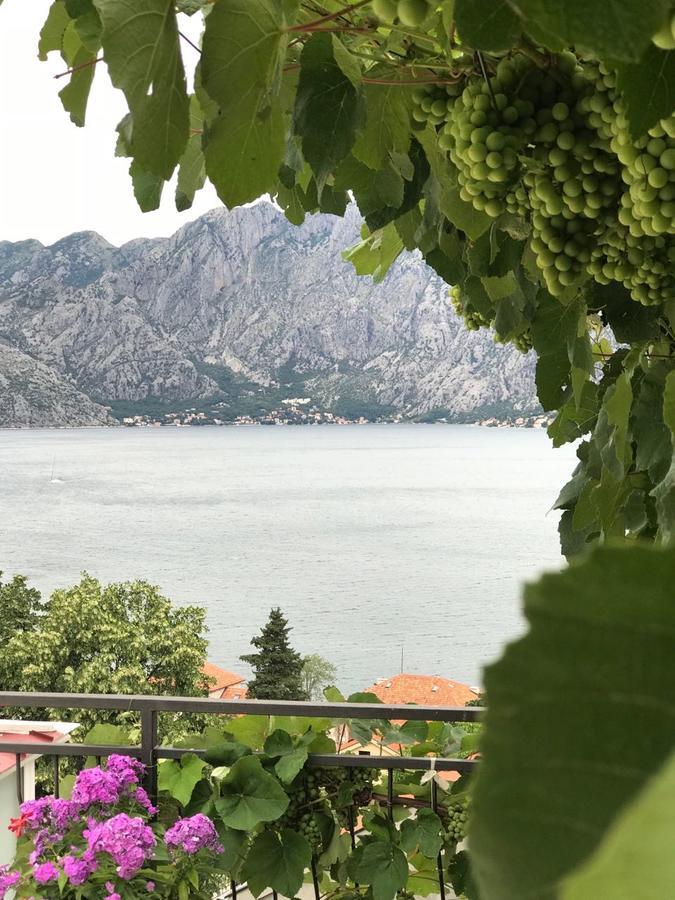 Vasko & Jana Apartment Kotor Ngoại thất bức ảnh
